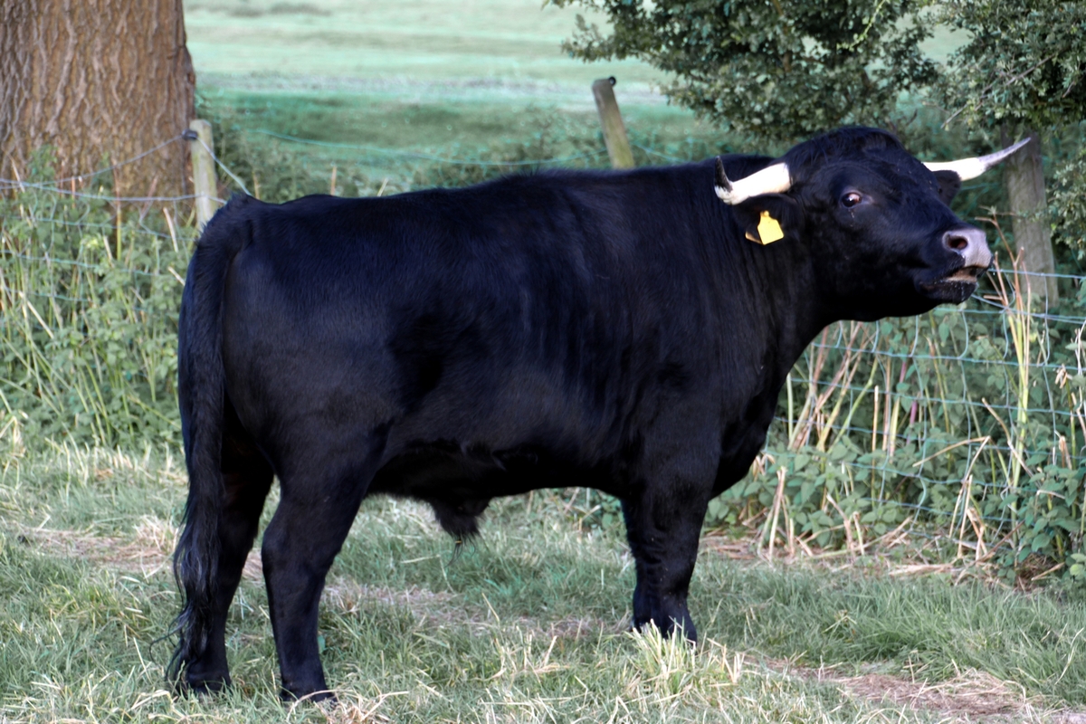 3rd. - Mervyn Burkill